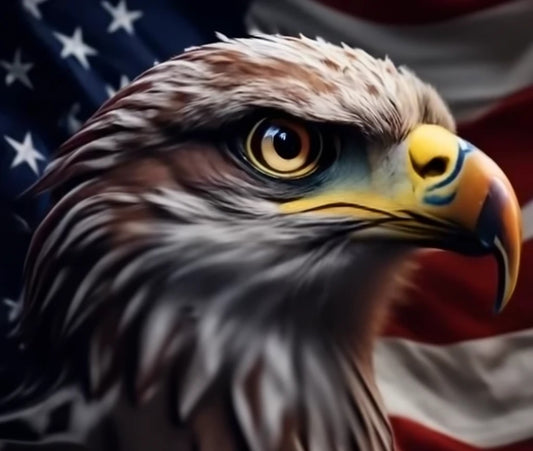The Ultimate Civics Exam for Future Voters of America